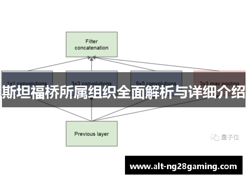 斯坦福桥所属组织全面解析与详细介绍