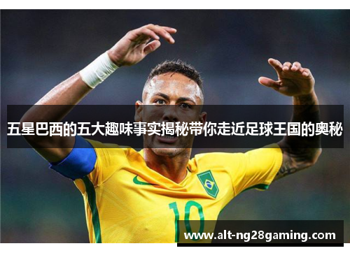 五星巴西的五大趣味事实揭秘带你走近足球王国的奥秘