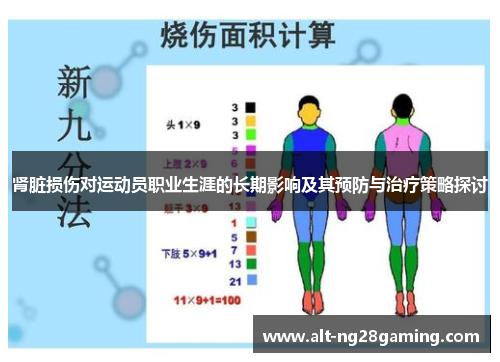 肾脏损伤对运动员职业生涯的长期影响及其预防与治疗策略探讨