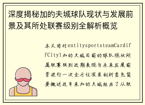 深度揭秘加的夫城球队现状与发展前景及其所处联赛级别全解析概览